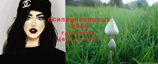 бошки Алексеевка